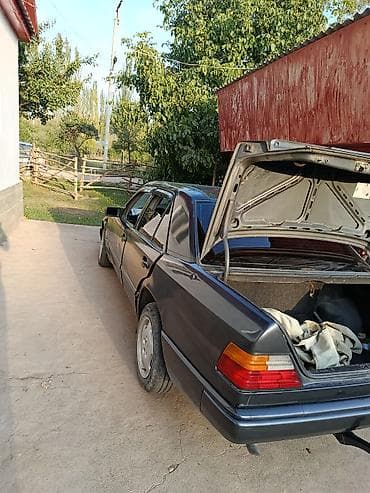 Mercedes-Benz W124: 1988 г., 2.3 л, Кол менен иштөөчү, Бензин, Седан — 6
