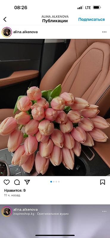 декоративные цветы бишкек: Принимаю заказы тюльпанов!Самые яркие,сочные цвета,более 15 видов — 7