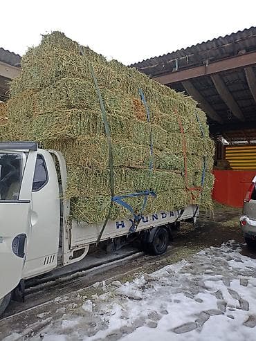 Клевер доставка есть