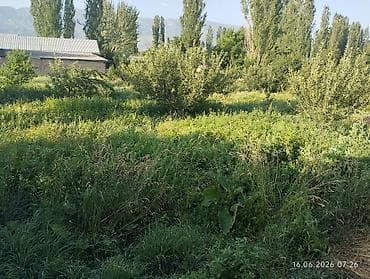 20 соток, Для сельского хозяйства — 2