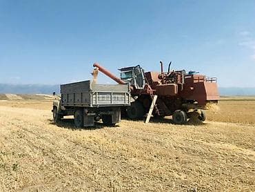 семена редьки маргеланская: Семена кормовых растений: Эспарцет, Самовывоз — 4