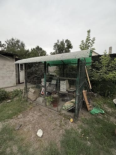 дом для кур: Вольер/уличный вольер из металла с крышей - Каркас из металлических — 2