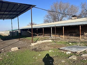 продаж дом ак босого бишкек: Кой короо, 1000 соток, Иштеп жаткан, Жарым-жартылай жабдуулары менен, Электр энергиясы, Муздак суу — 9