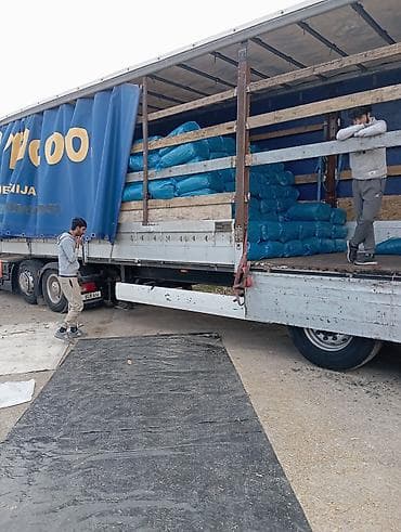 собака хаски цена: 50% КУКУРУЗЫ 25 кг ВЕС,С погрузкой выше 5 тонн договорная — 7