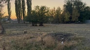 ош жапалак: 10 соток, Курулуш, Кызыл китеп — 3