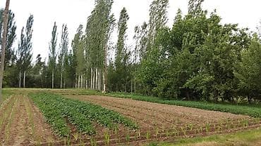 гараж токмок: Продаётся дом Таласская область, Айтматовский район, с. Кызыл-Адыр — 8