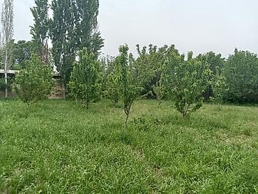 сдается земельный дом: 12 соток, Для сельского хозяйства, Красная книга — 1