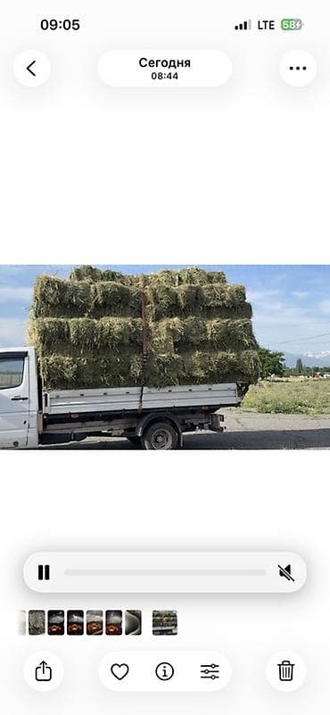 Свежий беде чоп Аралаш
