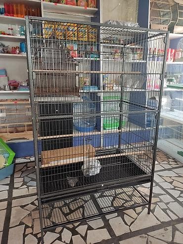 Үй жаныбарлары: Клетки для крупных, средних и мелких попугаев! — 4