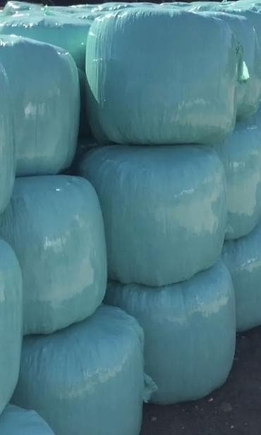 уй сан: Кукурузный силось в герметичных рулонах - Корм: кукурузный — 2