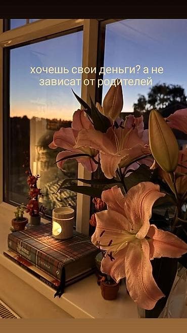 Билим берүү тармагы: Проект «Аура» — удалённая подработка через телефон и интернет — 1