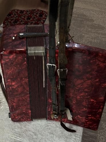 Музыкальные инструменты: Аккордеон DEMUSA Junior II - Тип: клавишный аккордеон — 3