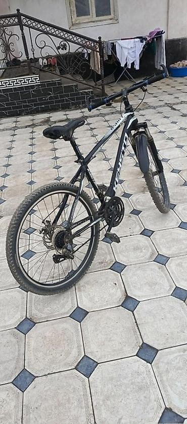 монети: Горный велосипед, Сталь — 1