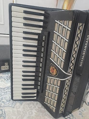 Скрипки: Аккордеон өтө жакшы абалда — 3