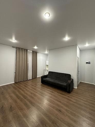 возле дороги: Студия, Собственник — 3