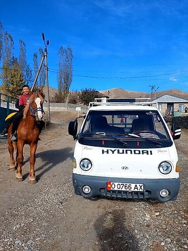 Hyundai Porter: 2000 г., 2.6 л, Ручные, Дизель
