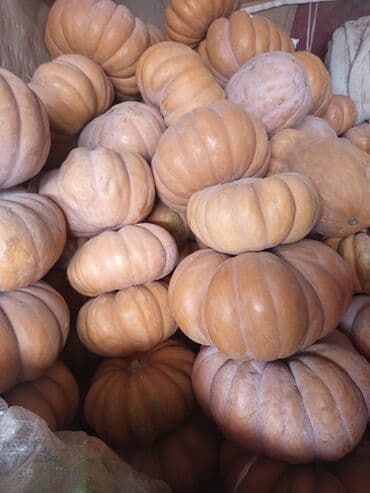 Тыква мускатная рамашка (сорт с ярко выраженными ребрами