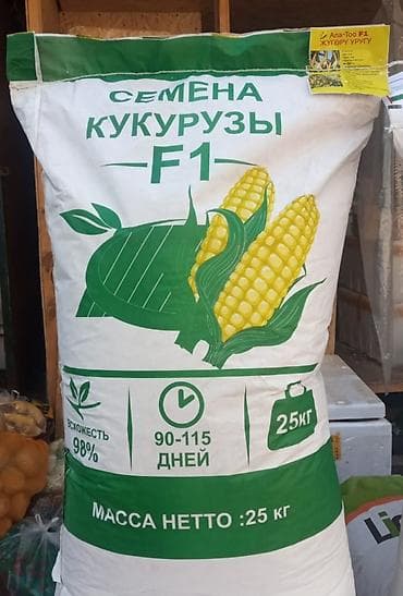 генератор для дома цена: Жугору уруктар АЛА ТОО F1 Китайский Лидер 777 чопко жана данга — 1