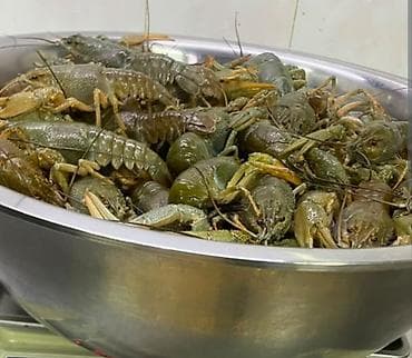 🦞 Покупаем живых раков! 🦞 Дорого купим живых раков любого объема! ✔️ — 1
