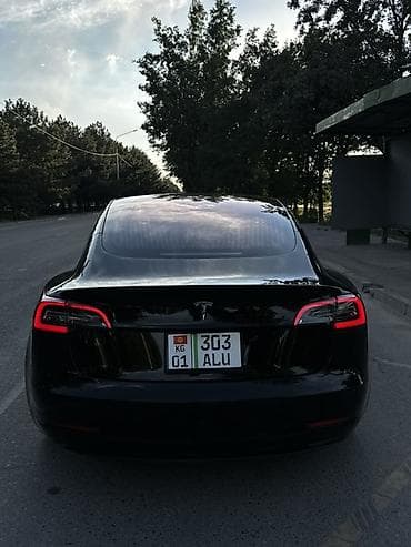 мап дачик: Tesla Model 3: 2019 г., Электромобиль, Лифтбек — 3
