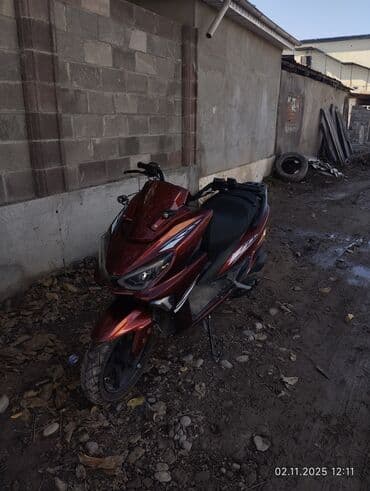 муравейник мотоцикл цена бишкек: Скутер/максискутер красного цвета. Характеристики и особенности по — 6