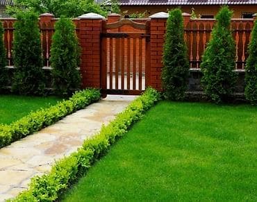 полный покраска: Предлагаются услуги по уходу за садом и ландшафтному дизайну. Включают — 4