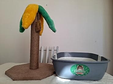 расческа для котов: Лоток для кошек с решёткой «Сибирская кошка» + когтеточка-деревце Цена — 1