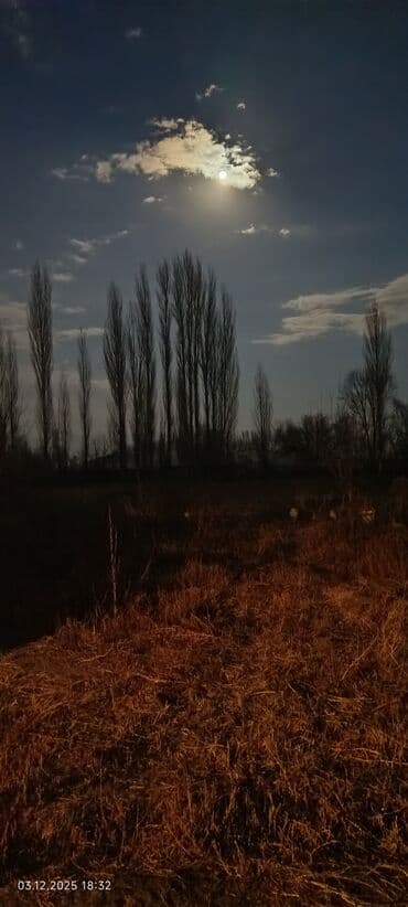 на дом работа швея: Жумуш издейм, Ищу работу! Грузчикке же Разнорабочийге. Жашым 31де — 1