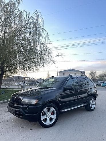 солнычный свет: BMW X5: 2002 г., 3 л, Автомат, Дизель, Кроссовер — 4