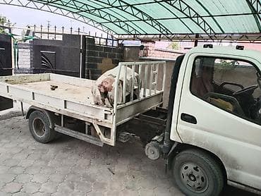 грузовик фотон: Легкий грузовик, Стандарт — 6