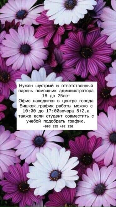 продаю офис: Требуется помощник оператора со знанием офисной работы, способный — 11