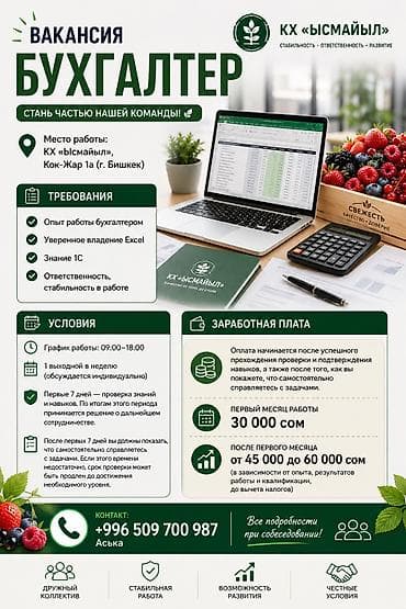 Бухгалтер at lalafo.kg Бухгалтер