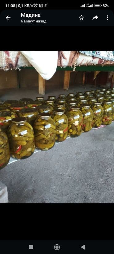 кумыс с медом бишкек: Домашняя консервация консервация Бишкек салаты на зиму зимняя — 15