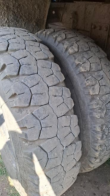 ремни 12: Шин диска — 6