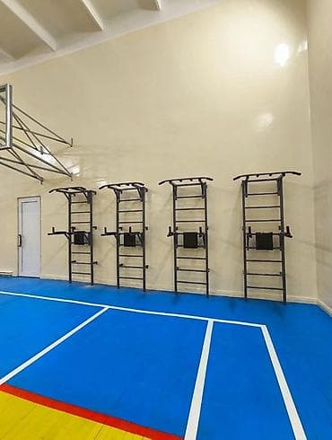 Турник, 3 в 1, Настенный, Новый, Платная доставка, Самовывоз — 1