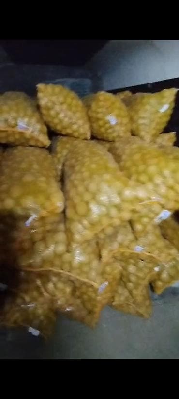 килемдер б у: Картошка Ривьера — 1