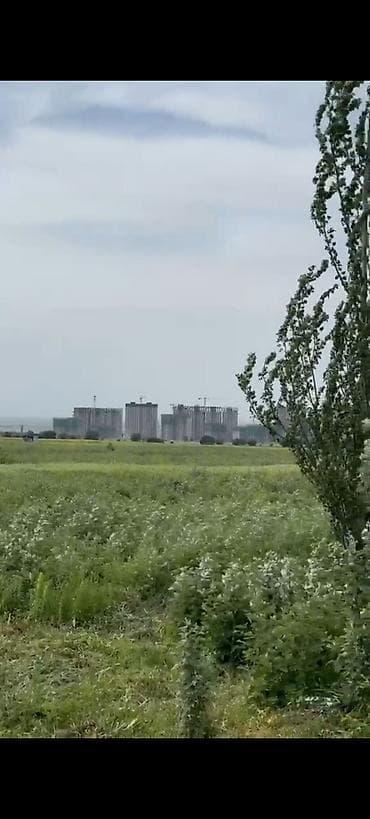 поля клубника: 1 соток, Для сельского хозяйства — 1