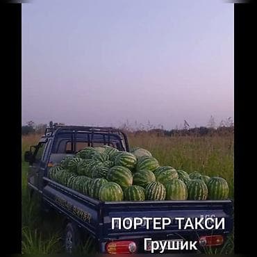 Портер такси Портер такси Портер такси Портер Такси Портер Такси
