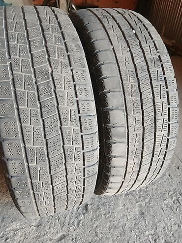 Шины 195 / 65 / R 15, Зима, Пара, Легковые, Goform