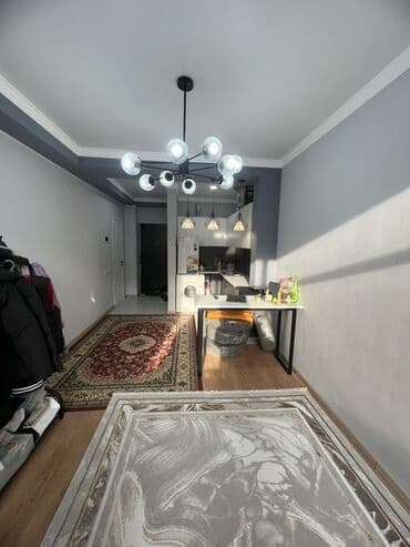 раздольный ак жол: 1 комната, 22 м², Индивидуалка, 3 этаж, Евроремонт — 5