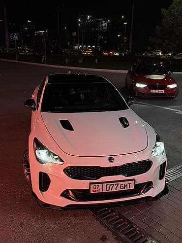 подсветки для машины: Kia Stinger: 2017 г., 3.3 л, Автомат, Бензин, Лифтбек — 4