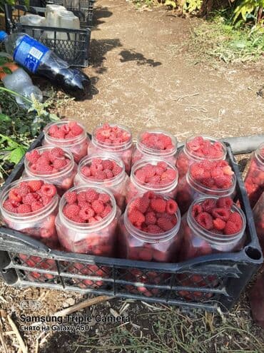 набор кулючи: Полана кочоту сатылат баасы 20сом — 6