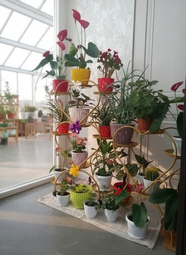 ферма готовые: Декор для дома и сада, Самовывоз, Платная доставка — 1