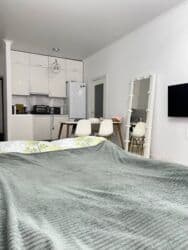 квартира бишкек долгосрочная: 1 комната, Агентство недвижимости, Без подселения, С мебелью полностью — 1