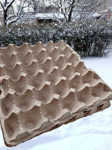 Холодильное оборудование: Лотки для яиц из плотного прессованного картона.б/у - Вместимость: по — 3