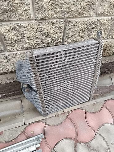 Сальники: З.ч Варео — 6