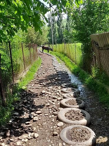 капот трактор: Мини-трактор (самодельный/малогабаритный) с рамной конструкцией и — 7
