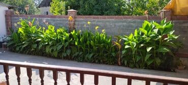 дом бишкек продаю: Дом, 170 м², 8 комнат, Собственник, Косметический ремонт — 11