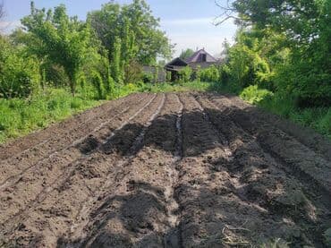 Дом, 1717 м², 4 комнаты, Собственник, Старый ремонт