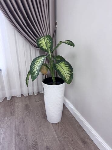 опора для растений: Продаю 2500с — 2